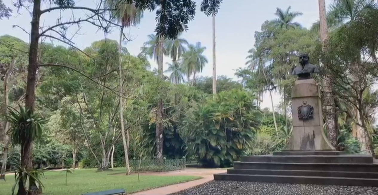 RJ: Jardim Botânico reabre com restrições a partir desta quinta-feira (9)