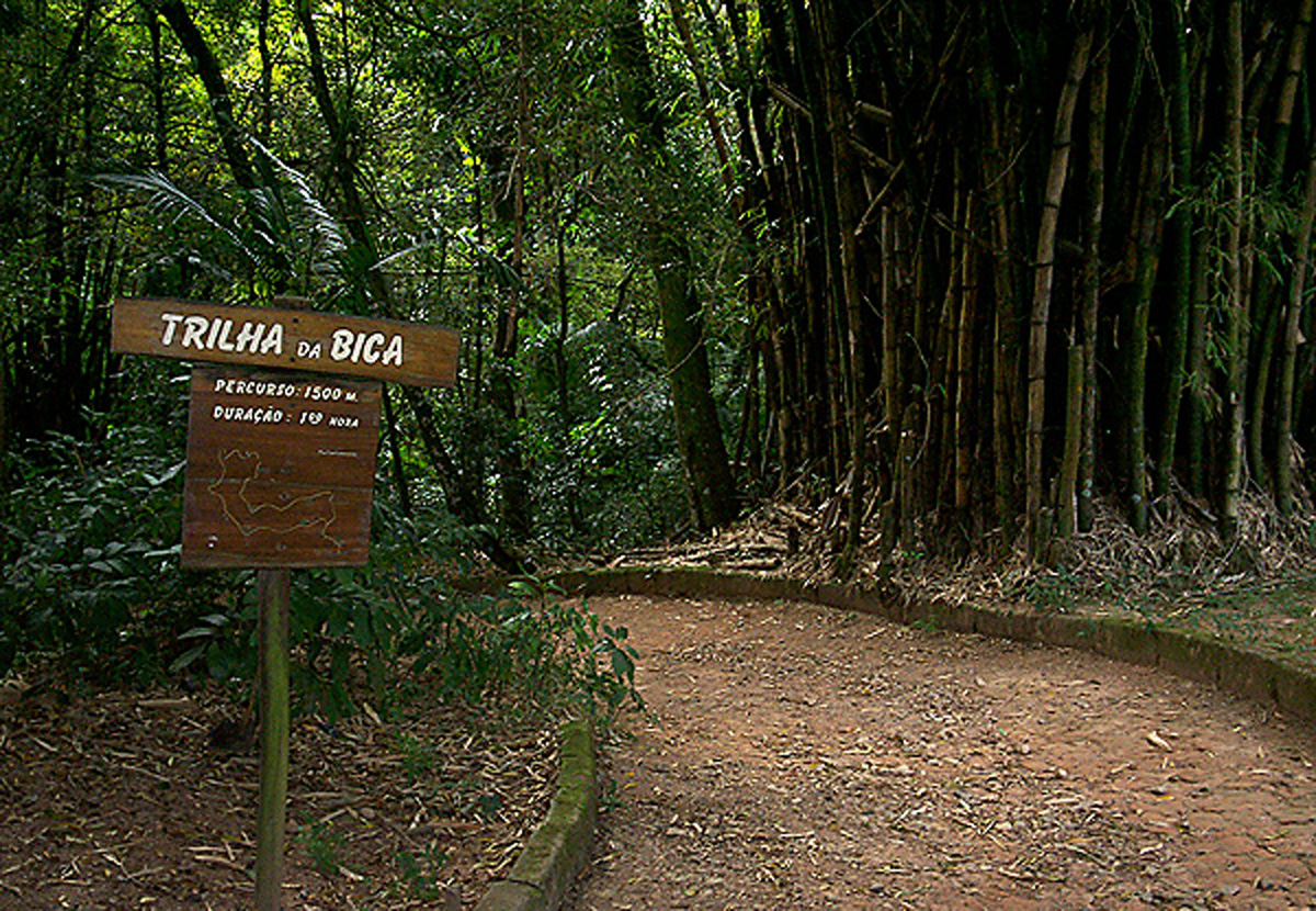 Parque da Cantareira em SP