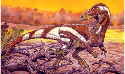 Concepção artística do Aratasaurus museunacionali