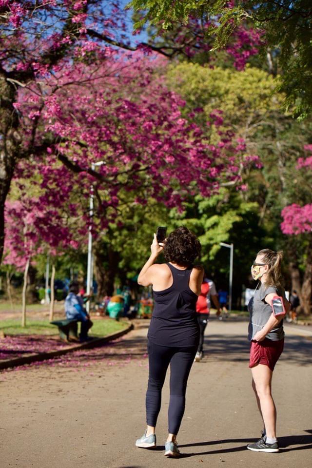 Ibirapuera