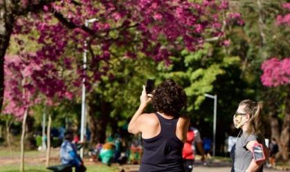 Veja a lista de parques que reabrem em São Paulo a partir desta segunda (13)