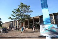Intercâmbio internacional equivale a estágio? Entenda a lei sancionada por Lula