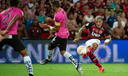 Destaques da temporada: como está seu time em 2020