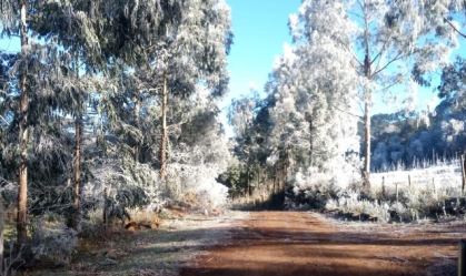 Serra catarinense registra frio de 8ºC negativos