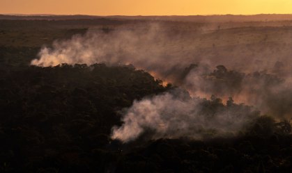 Apesar de proibição, Greenpeace flagra queimadas em floresta do Mato Grosso