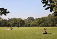 Barulho de shows no Parque Ibirapuera incomoda vizinhos e vai para Justiça em SP