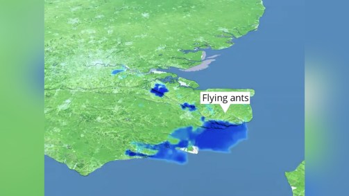 O Met Office divulgou imagem que mostrou as formigas sobrevoando o Reino Unido