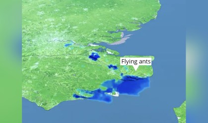 Nuvem de formigas sobrevoa Reino Unido e aparece como chuva em radar
