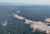 PF faz operação para retirada de garimpeiros em terra indígena Yanomami