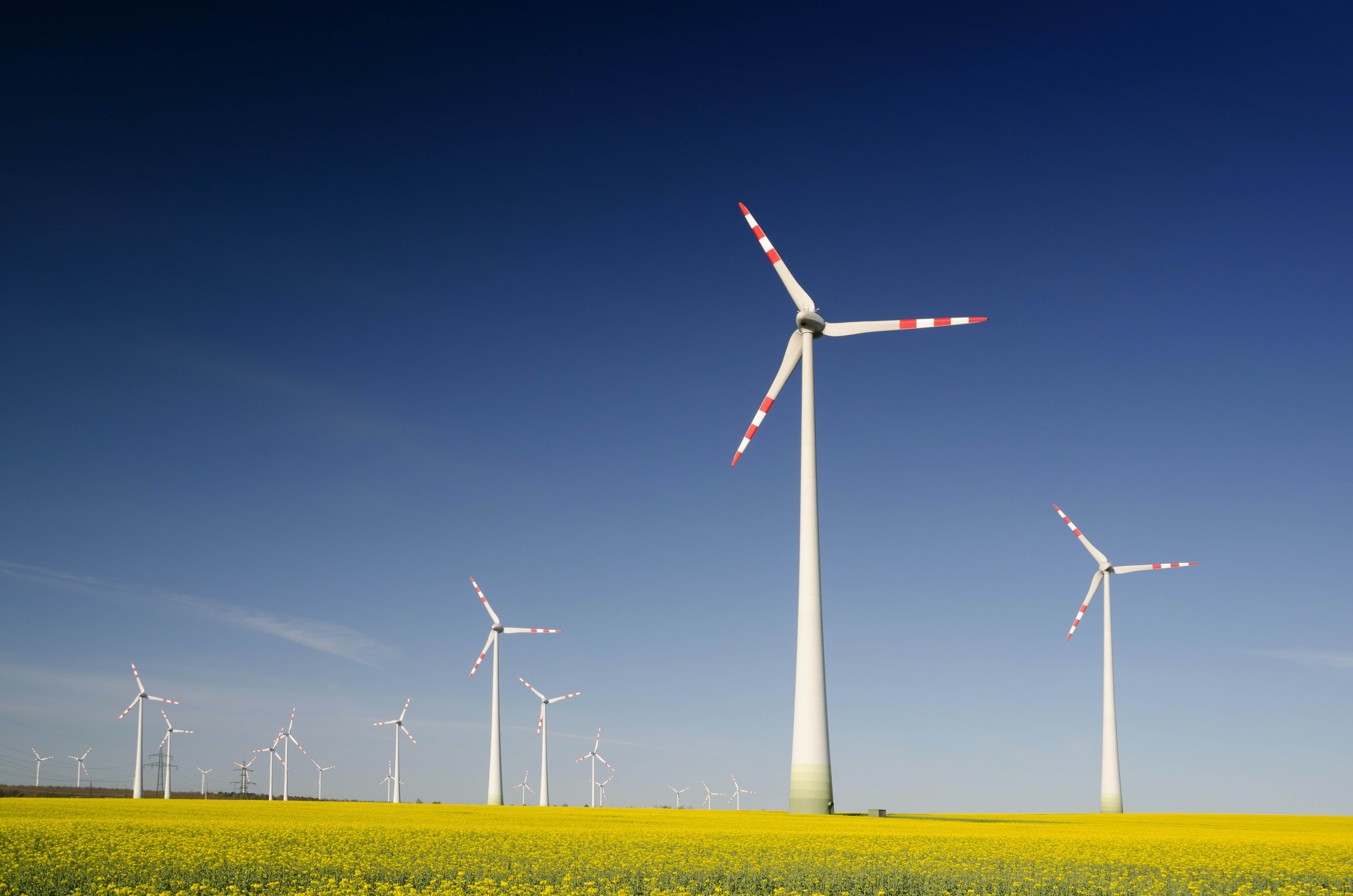energia eólica