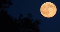 'Lua