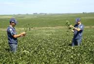 Agro brasileiro avança na China com novos acordos e escritório em Pequim