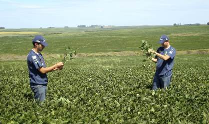 Agro brasileiro avança na China com novos acordos e escritório em Pequim