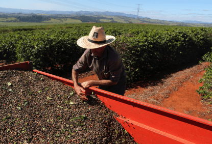 Governo de São Paulo liberará R$215 milhões em linhas de crédito e seguro rural