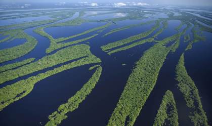 União Europeia anuncia 20 milhões de euros ao Fundo Amazônia