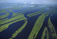 Estudo aponta que Amazônia é responsável por 25% das chuvas do Sul e Sudeste