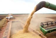 Commodities representam 70% dos produtos exportados em setembro