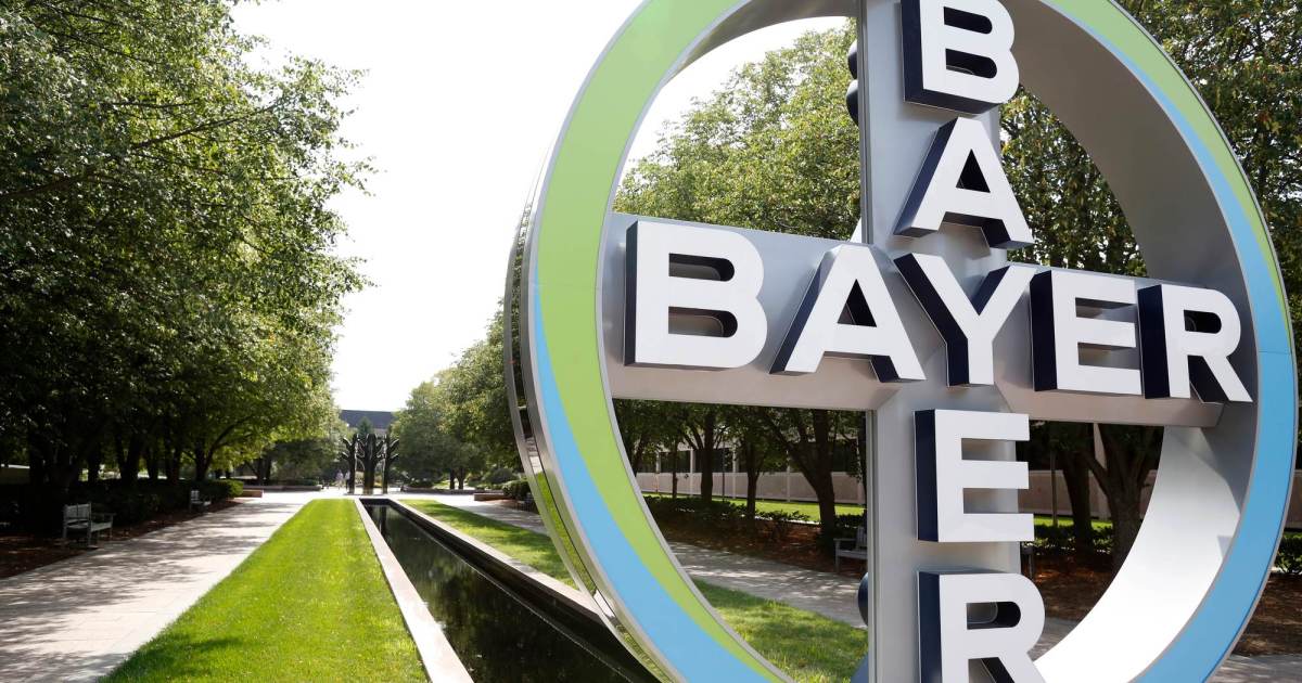 Sementes de soja dobram vendas e impulsionam segmento agro da Bayer