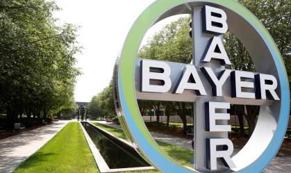 Bayer