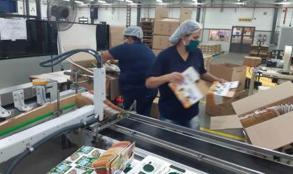 Trabalhadoras em indústria gráfica