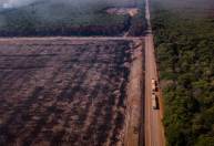 Empresas brasileiras assinam documento pelo desenvolvimento sustentável