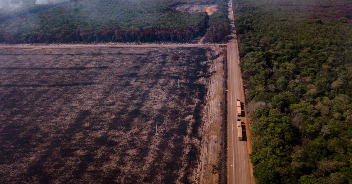 Governo publica edital da BR-163 e marca leilão para 12 de novembro
