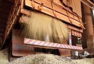 Volume de fretes rodoviários dispara 67,5% no 1° semestre levado por agronegócio