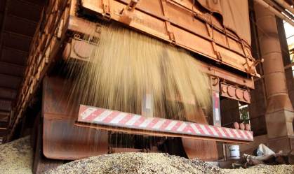 Caminhão descarrega soja em Primavera do Leste (MT)