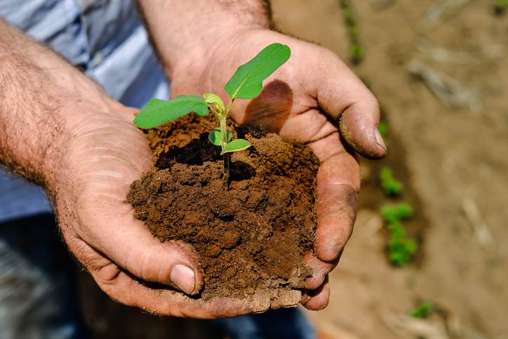Agricultura