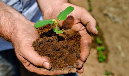 Agricultura