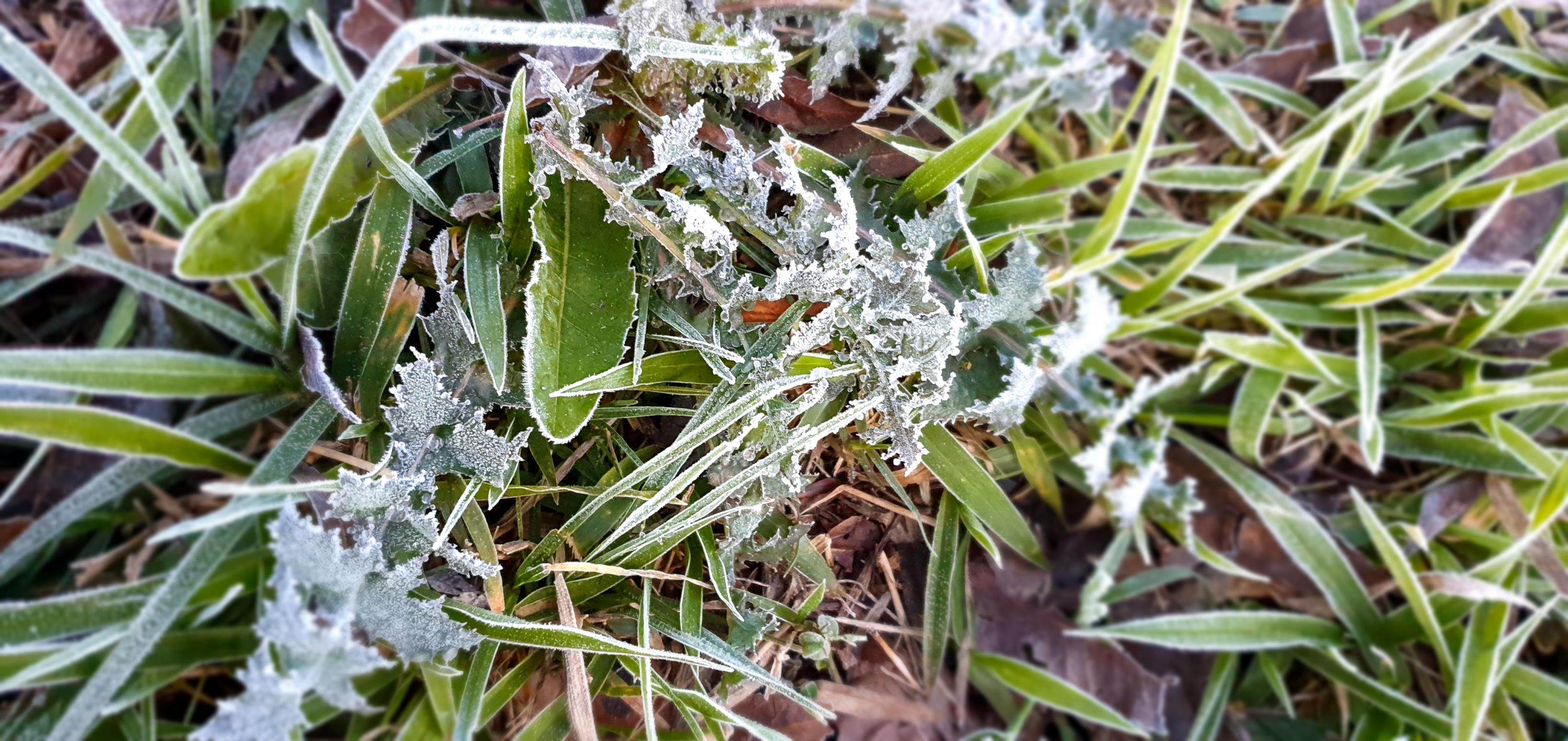Frio no Sul 