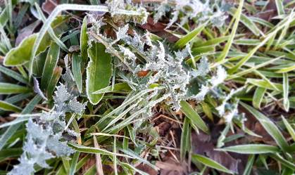 Frio no Sul 