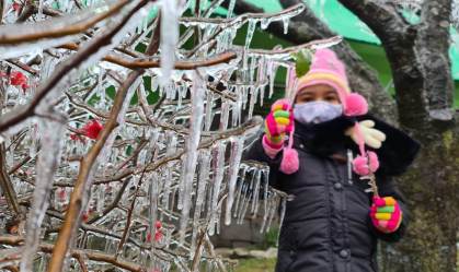 Quarta-feira (30) promete recorde de frio em nove capitais brasileiras