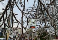 Frio e turismo de neve desafiam medidas contra Covid no Sul do Brasil