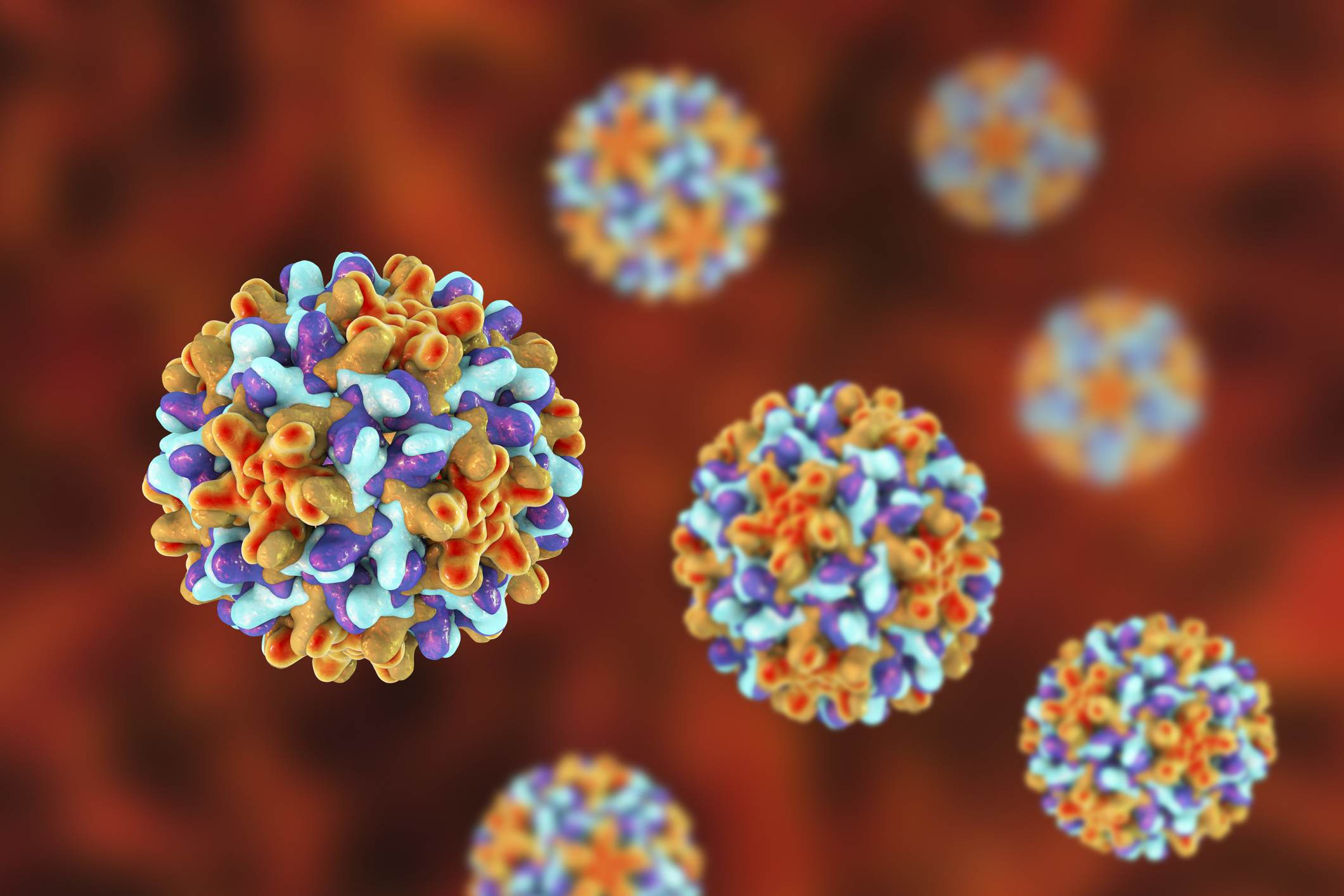 Ilustração de vírus da hepatite B