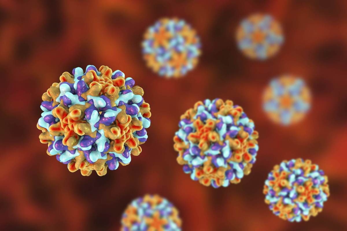 Cerca de 1 em cada 8 casos de câncer no mundo estão ligados a infecções