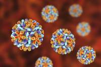Cerca de 1 em cada 8 casos de câncer no mundo estão ligados a infecções