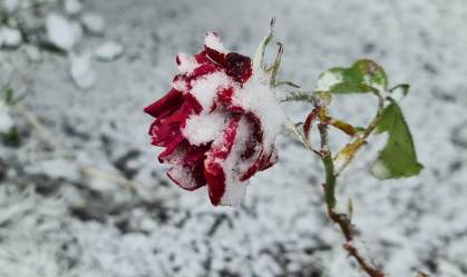 Neve no Vale do Cruzeiro, em São Joaquim, na serra catarinense