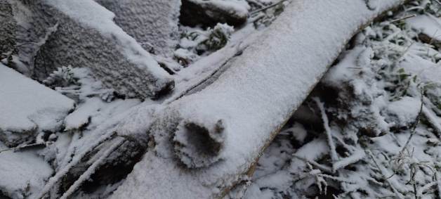 Frio no Sul: serra catarinense amanhece coberta de neve nesta quarta-feira (30)