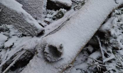 Frio no Sul: serra catarinense amanhece coberta de neve nesta quarta-feira (30)