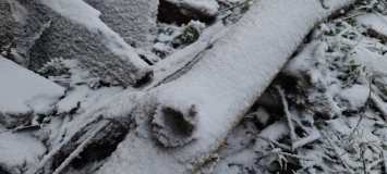 Frio no Sul: serra catarinense amanhece coberta de neve nesta quarta-feira (30)