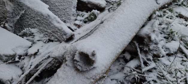Frio no Sul: serra catarinense amanhece coberta de neve nesta quarta-feira (30)