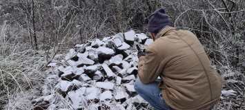 Moradores tiram foto de neve em São Joaquim