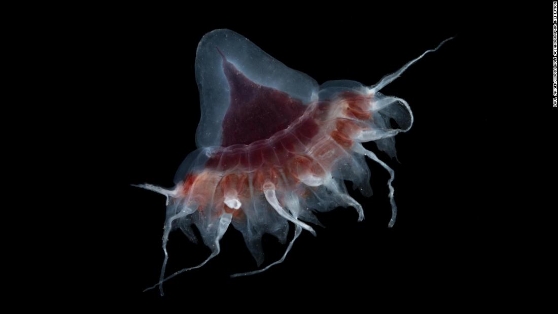 Woods Hole Oceanographic Institution