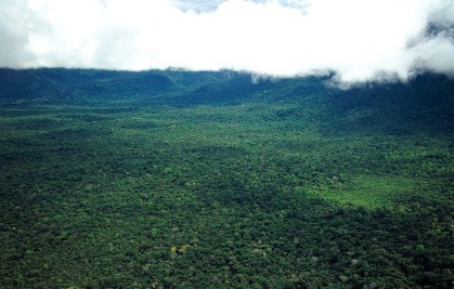 Região amazônica no território da Venezuela