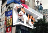 Gato 3D gigante chama atenção em tela de alta definição no Japão