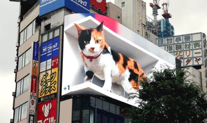 Telão gigante mostra gato hiper-realista/Divulgação