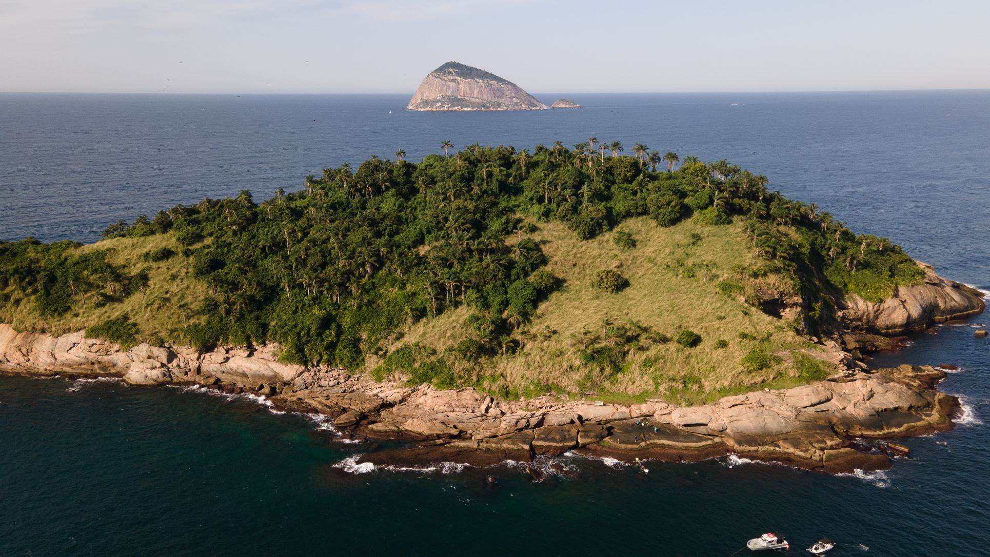 Ilha Cagarras