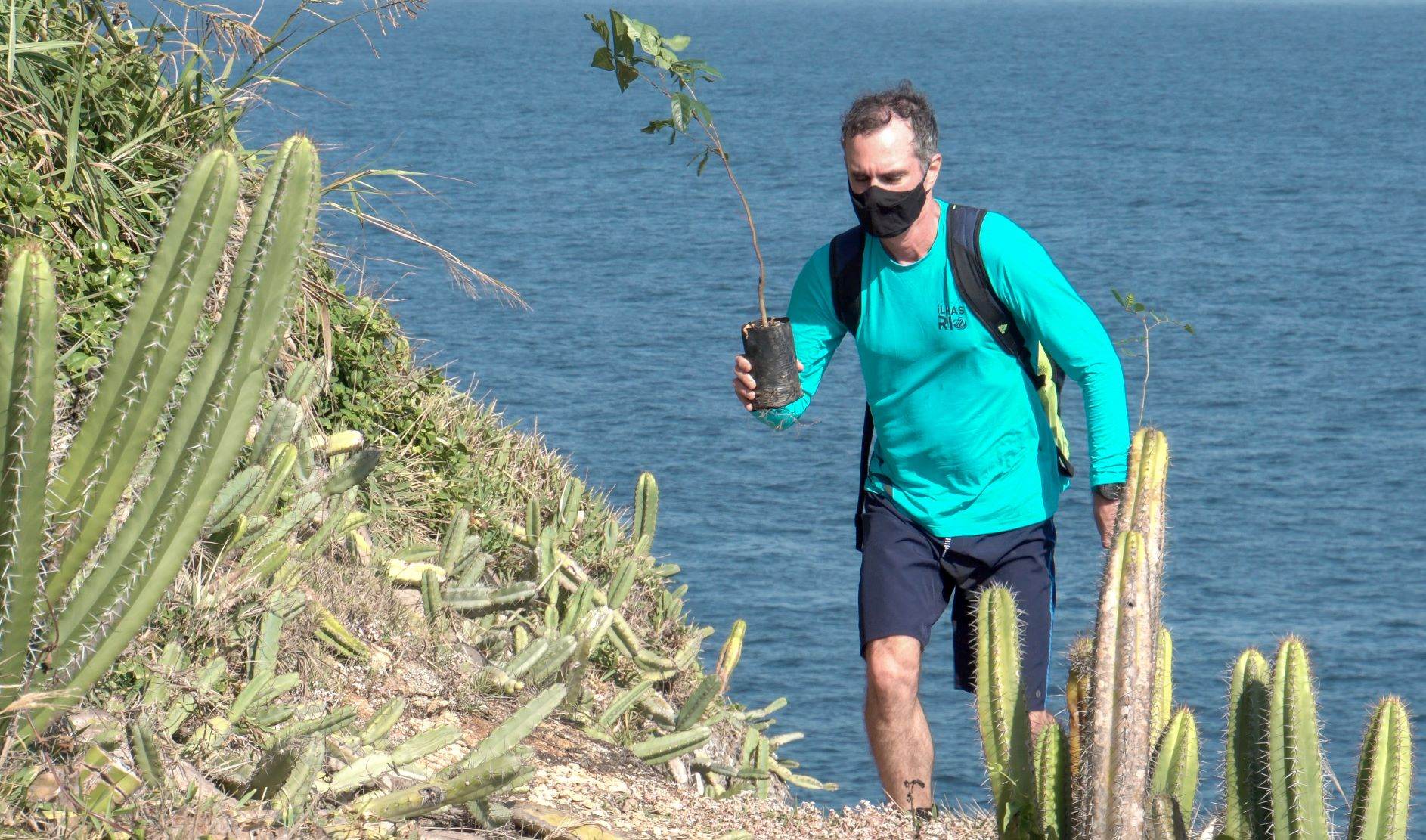 projeto Ilhas do Rio