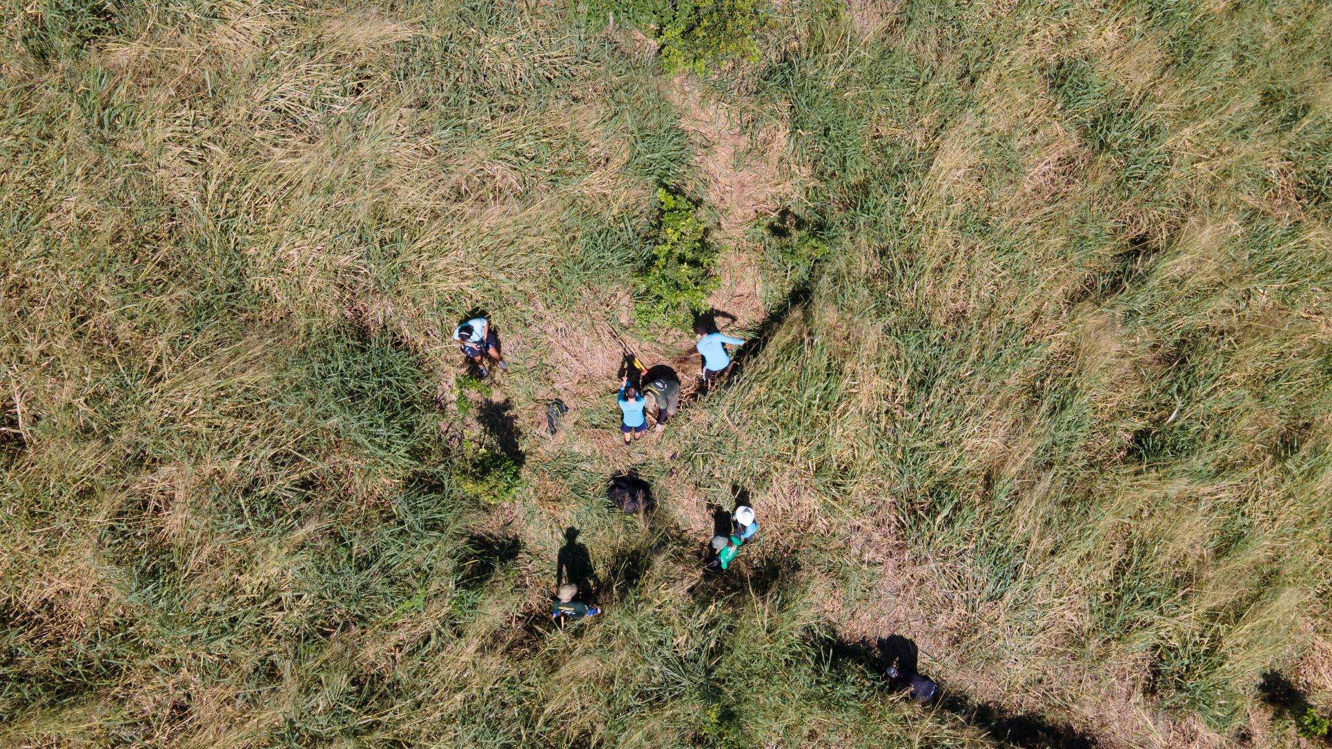 projeto Ilhas do Rio